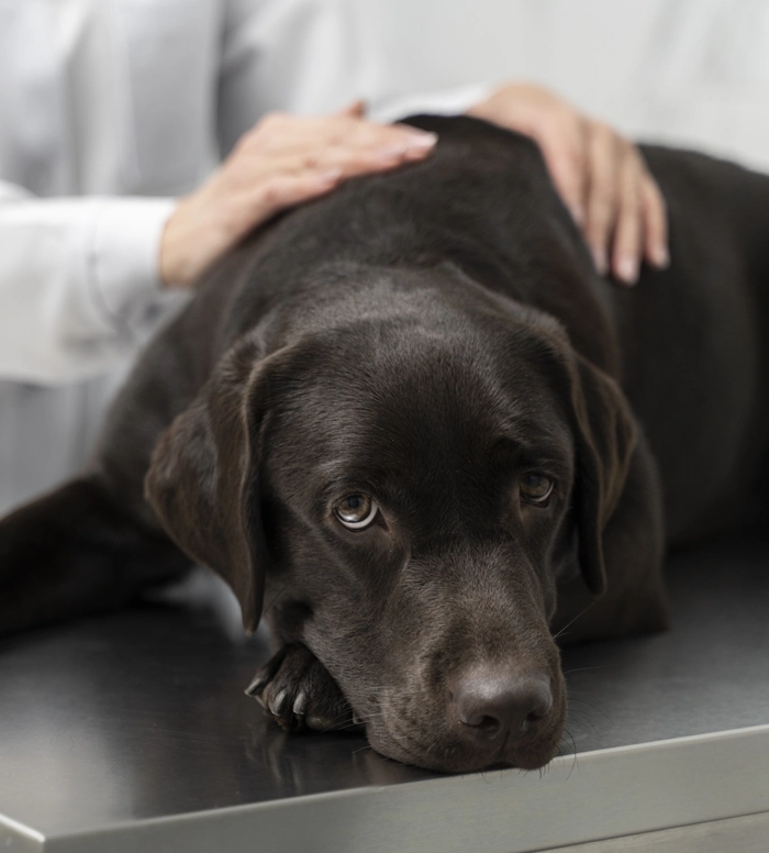 close-up-doctor-pain-management-ft-img