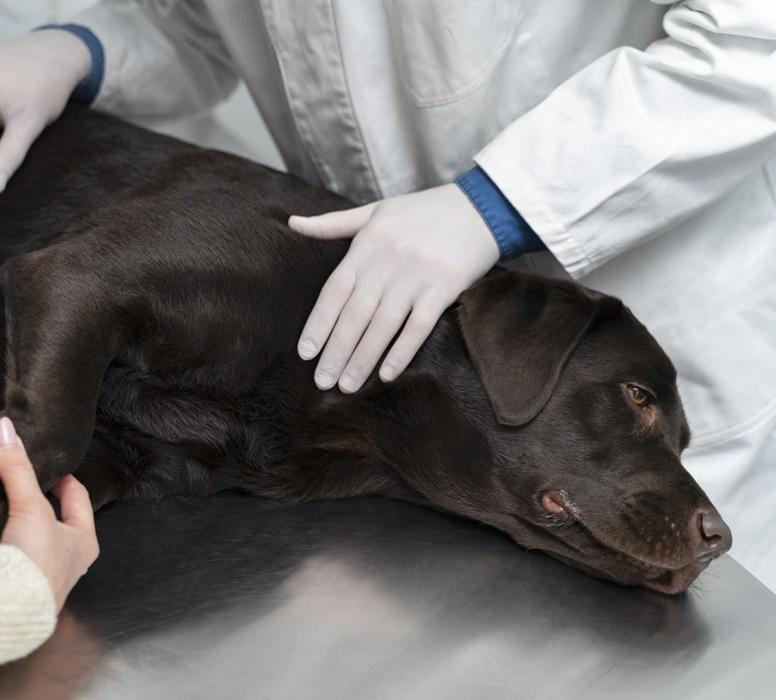 Post Operative Care And Recovery