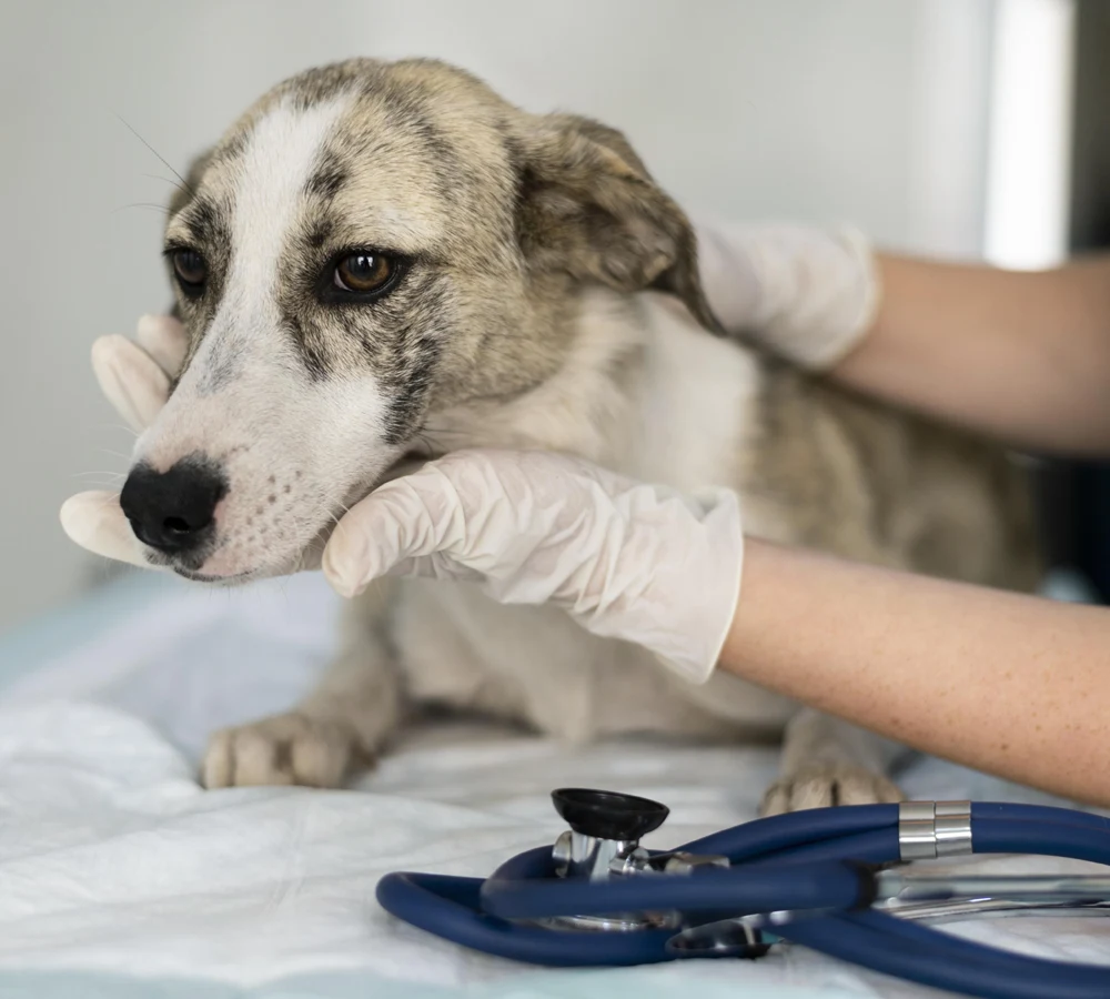 How Ultrasound Supports Urgent Care Cases