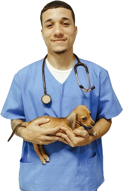 cta-image-dd Contact Us