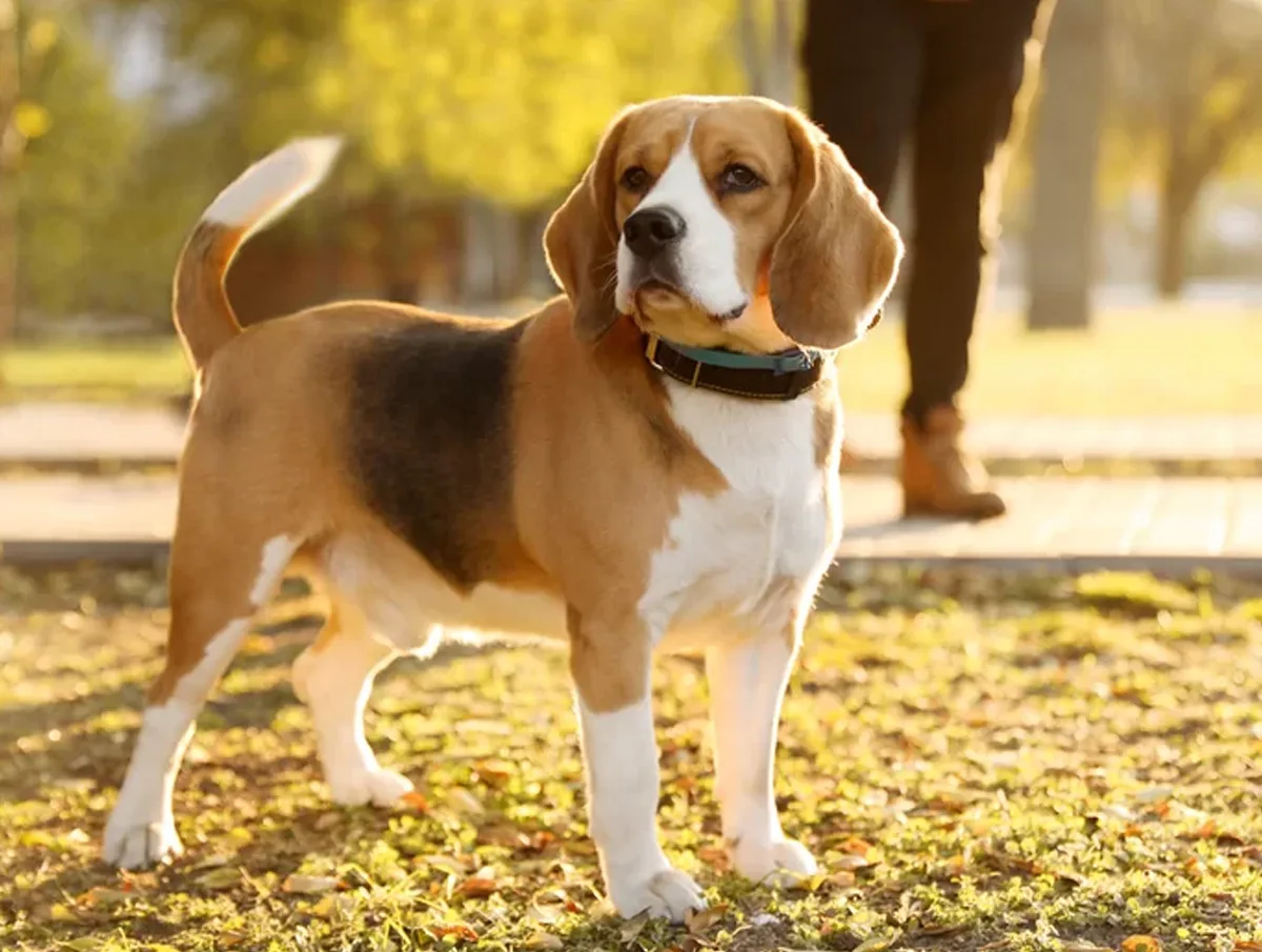 Welcome New Patients