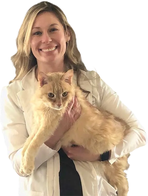 Meet Our Veterinary Team