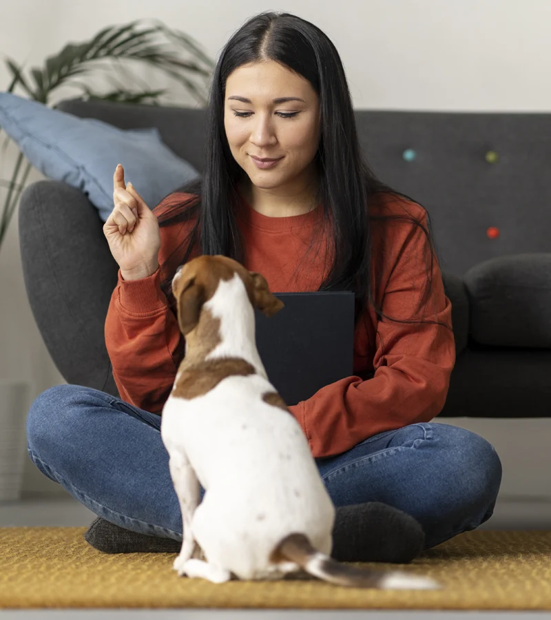 How Often Should Your Pet Be Seen