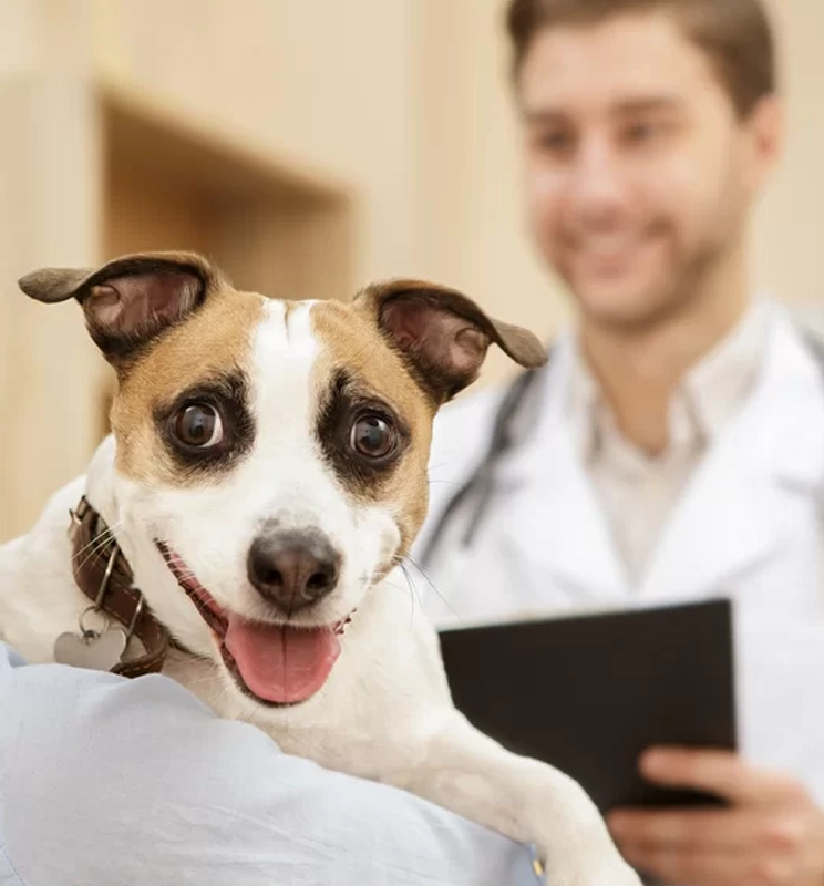 Appointment Scheduling