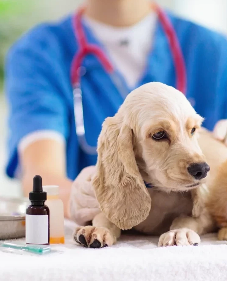 Fast And Convenient Medication Access