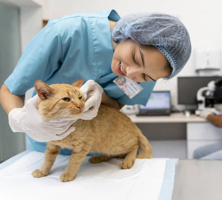 During The Procedure