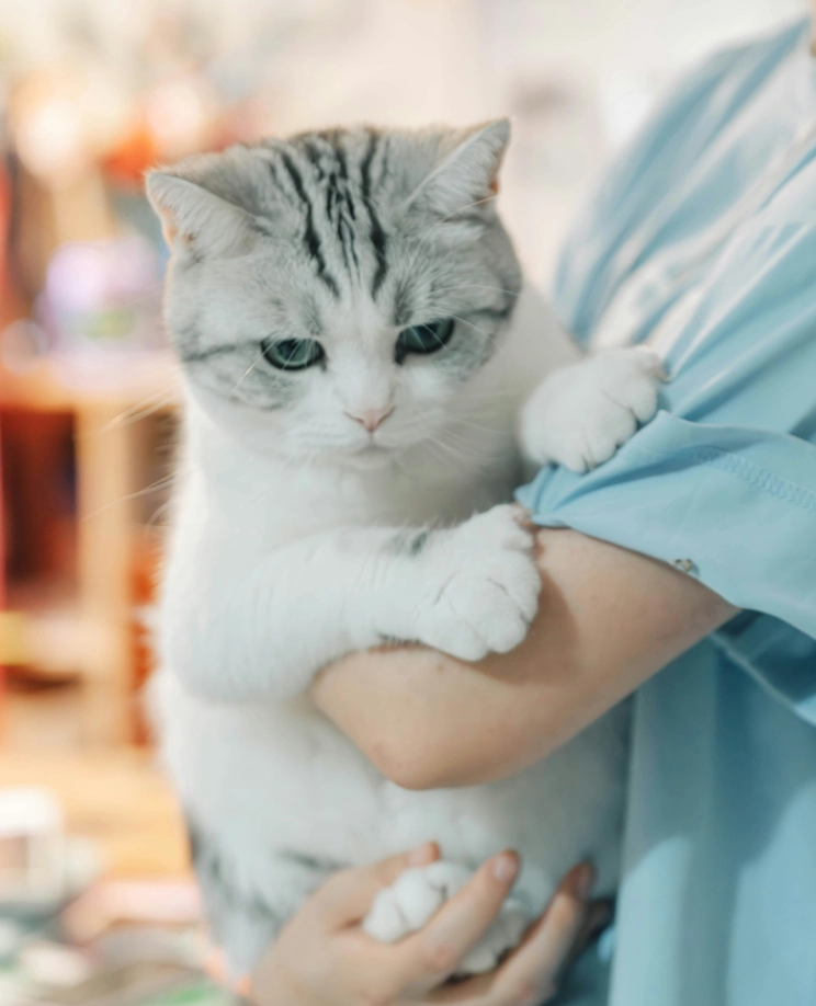 verthing-happier-visits-image