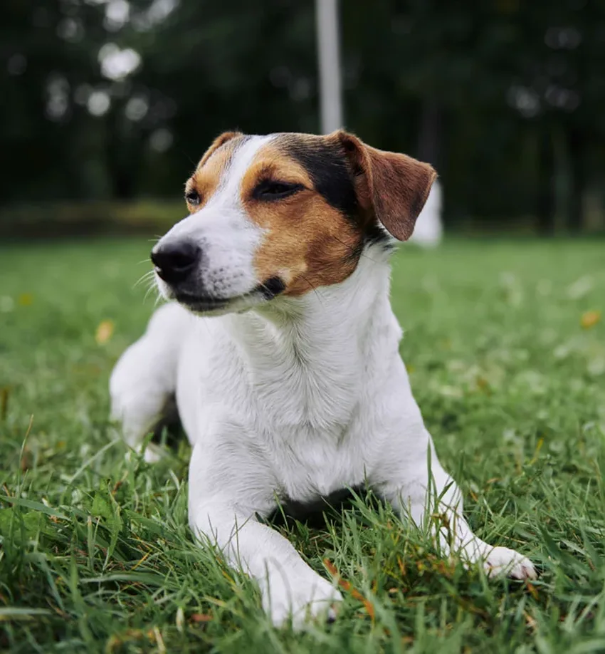 Preventative Wellness Care For A Healthier