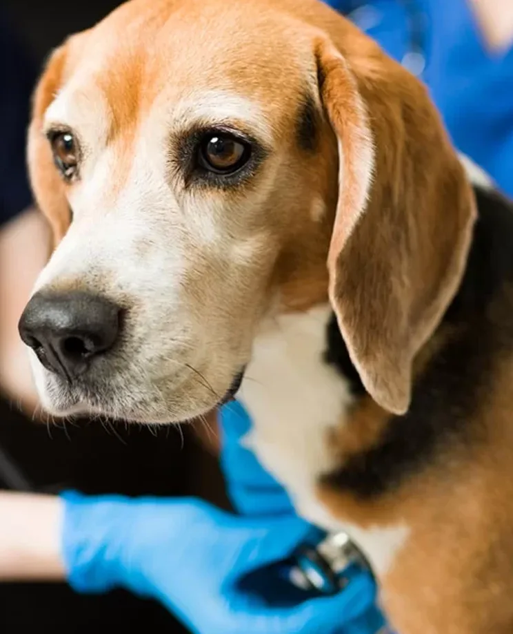 what-to-expect-scheduling-image