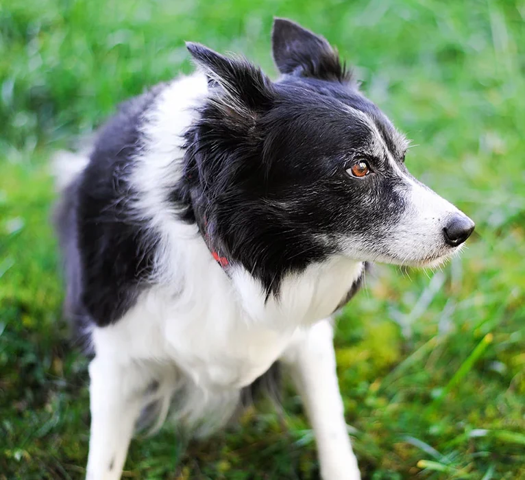 end-of-life-care-strip-expect-during-img