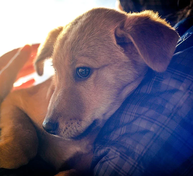 Compassionate Support During