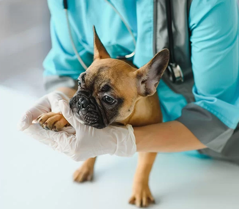 What Is PRP Used For