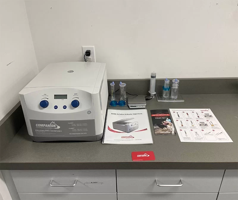 What To Expect During PRP Treatment