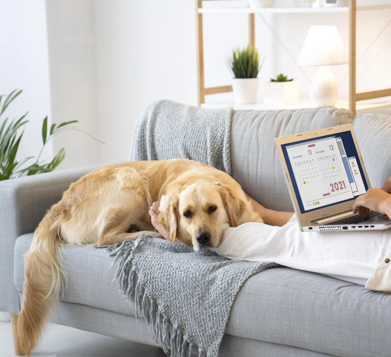 working-with-dog-schedule-compassionate