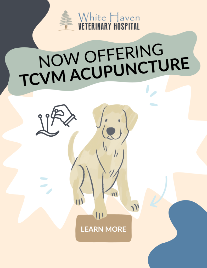TCVM acupuncture Announcement