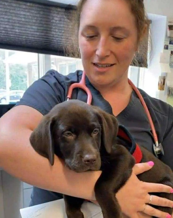 Our Veterinary About Iamge