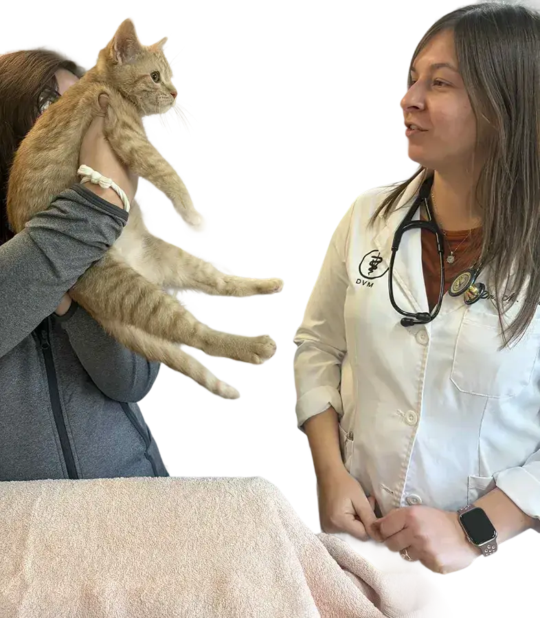 Why Choose White Haven AAHA Accredited