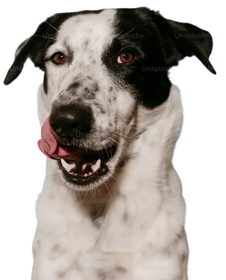 We Now Offer 24 Hour Live Chat Support