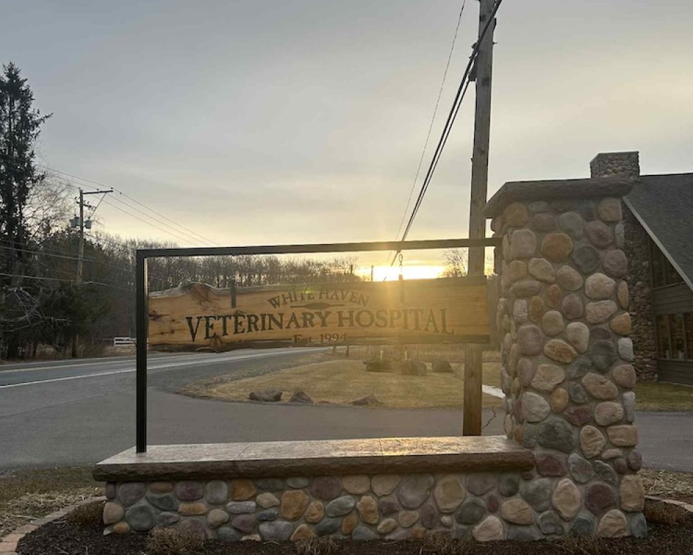 White Haven Front Sign